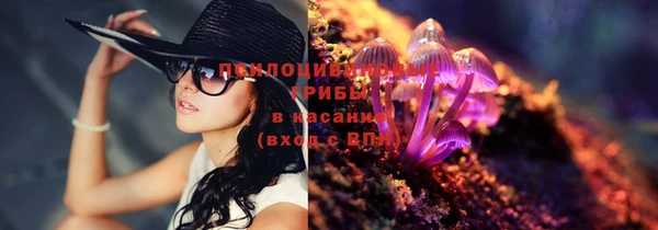 дживик Арсеньев