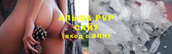 ПСИЛОЦИБИНОВЫЕ ГРИБЫ Аркадак
