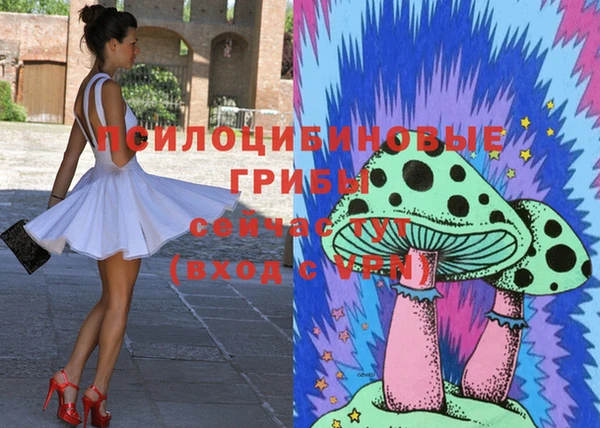 таблы Армянск
