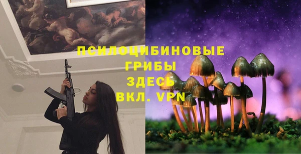 ПСИЛОЦИБИНОВЫЕ ГРИБЫ Аркадак