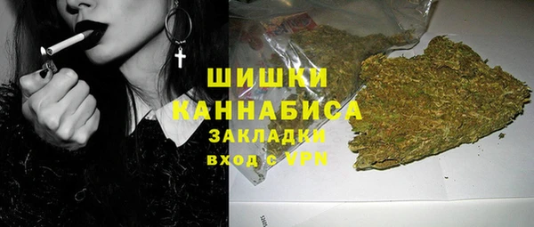 дживик Арсеньев