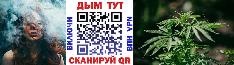 Купить где Сычёвка Бошки марихуана Ganja